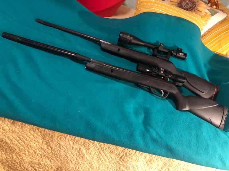 GAMO Varmit .177 + GAMO Raptor .22 w/scopes