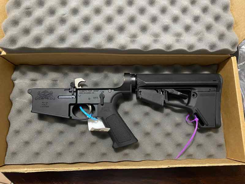 AR-10 .308 LOWER 