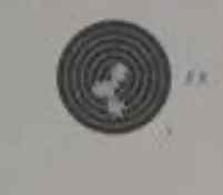 IMG_7221.jpeg