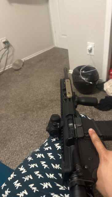 Ruger ar55.6
