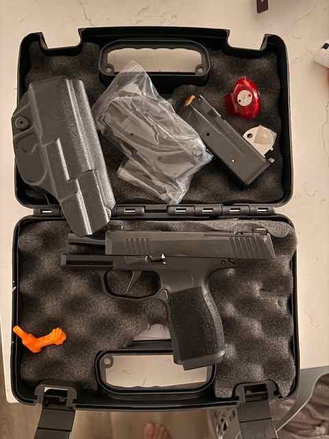 Sig P365X Pic.jpg