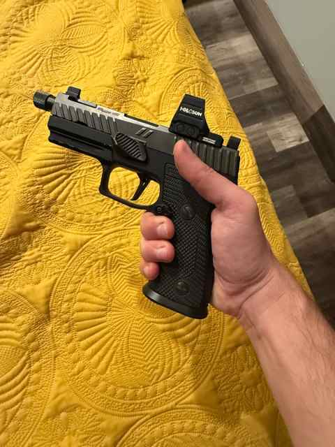 Sig p320 axg with zev slide and holosun