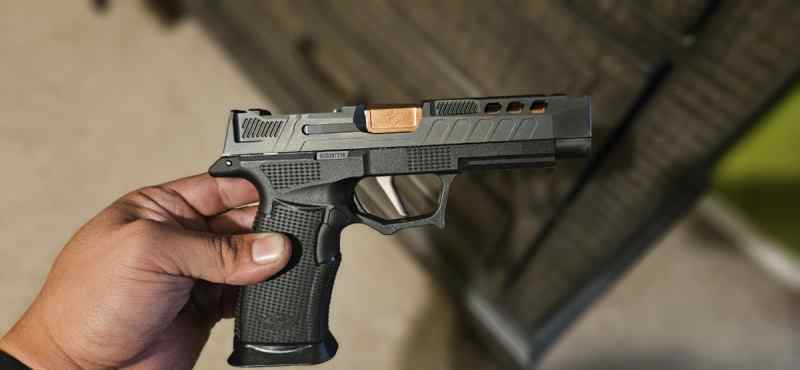 Sig p365 fuse Fdez