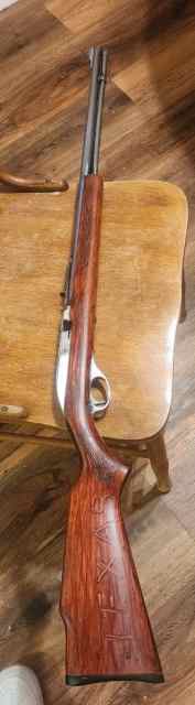 Glenfield mod 60 .22