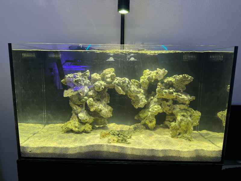 JBJ 65 Gallon AIO WTT