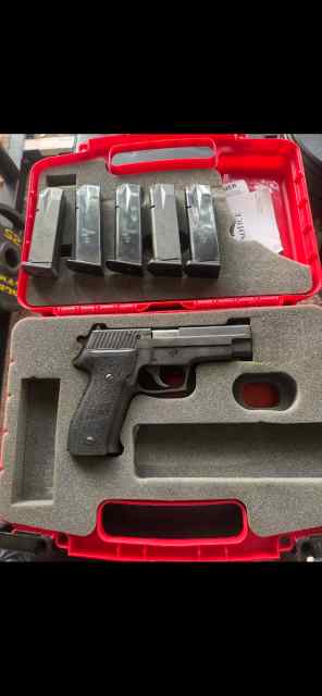 Sig p226 357 sig