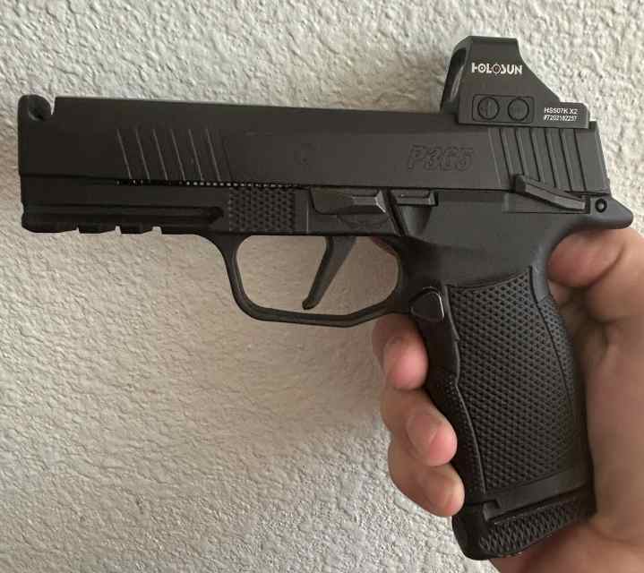 Custom Sig P365XL 