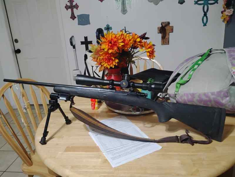 Interarms mark x 223