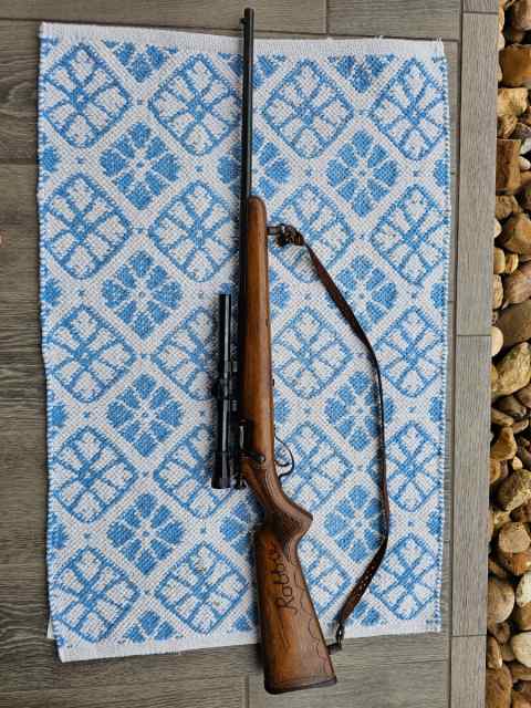 Springfield Savage .22LR
