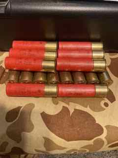 Shot Shells , 28 ga. , 8 shot ,16 rounds .