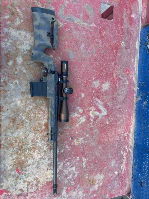 Savage 308