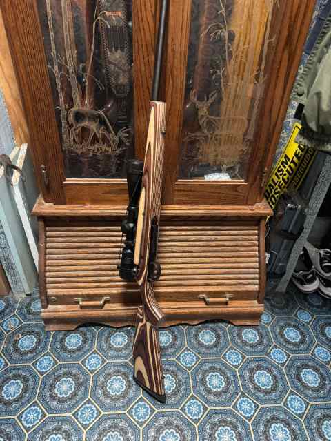 Remington 788 .243 