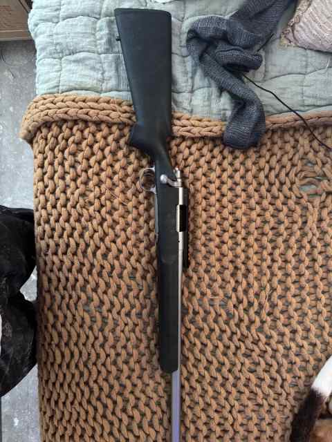Remington 700 vs 223