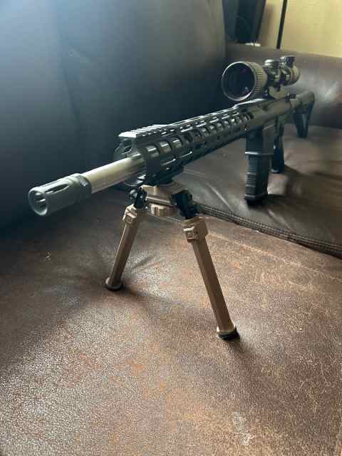 Psa ar10 .308