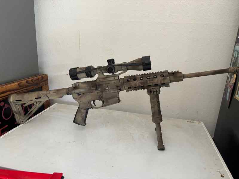 DPMS with Bushnell scope