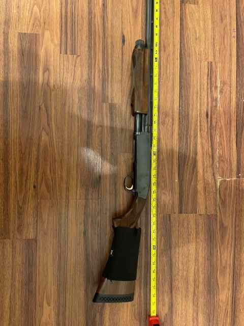 Browning 20ga pump