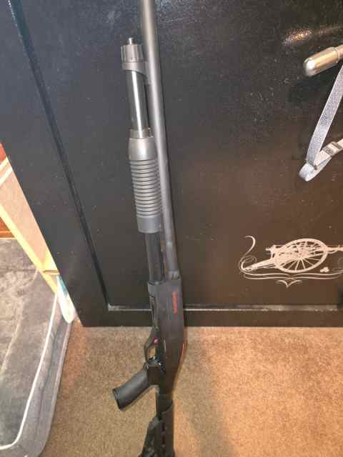 Winchester sxp 12 gauge