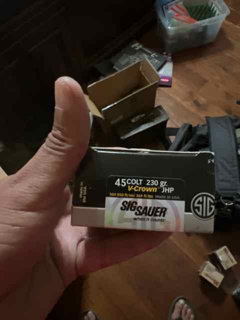 454 Casull ammo