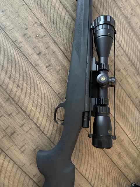 Howa 308 Game King