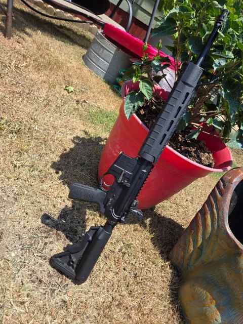 Solgw ar15 223/556