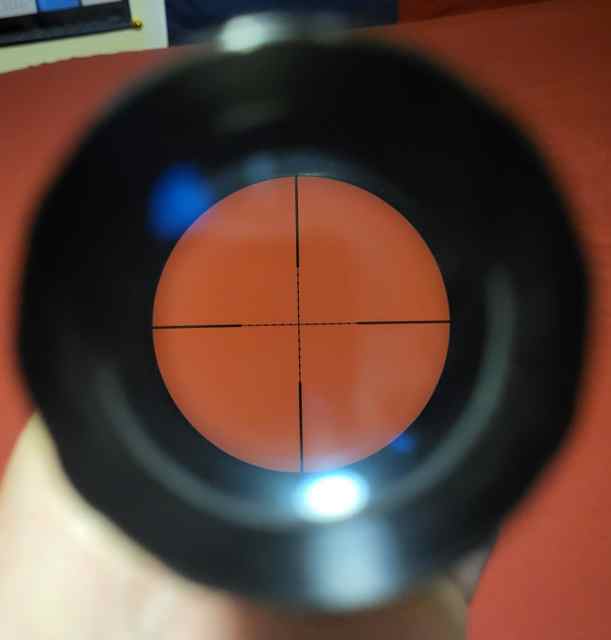 20250626_191341.jpg