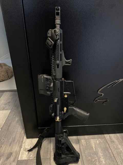 Ar 300blk - custom built