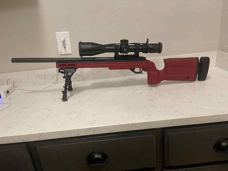 Ruger 10/22 .22lr