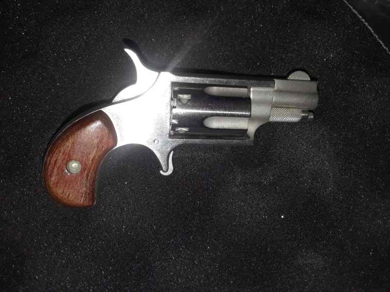 NAA 22lr Revolver 250.00 in Quitman