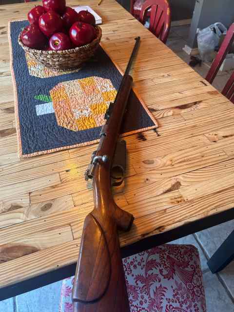 Argentine 1891 Mauser