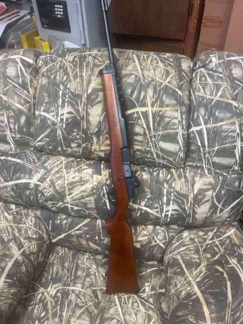 Ruger Mini 14 223
