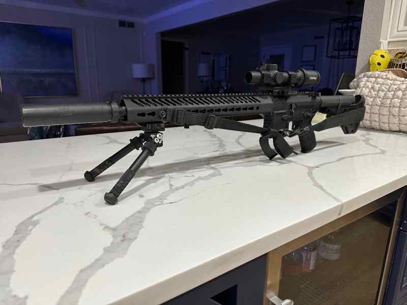 High End Seekins Build 