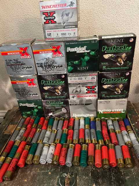 12 Ga
