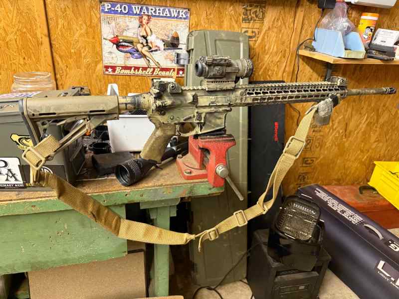 Bcm/palmetto ar15