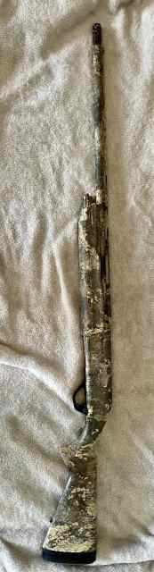 IMG_5551.jpeg