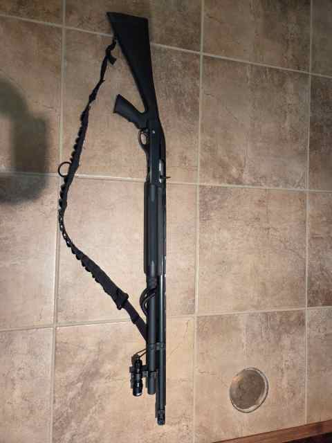 20250415_100227 (1)SHOT GUN PIC 2.jpg