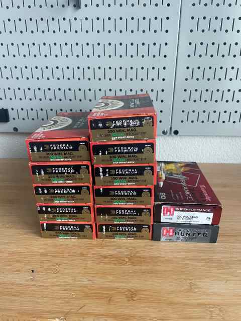 Federal Gold Medal 300 Win Mag GM300WM