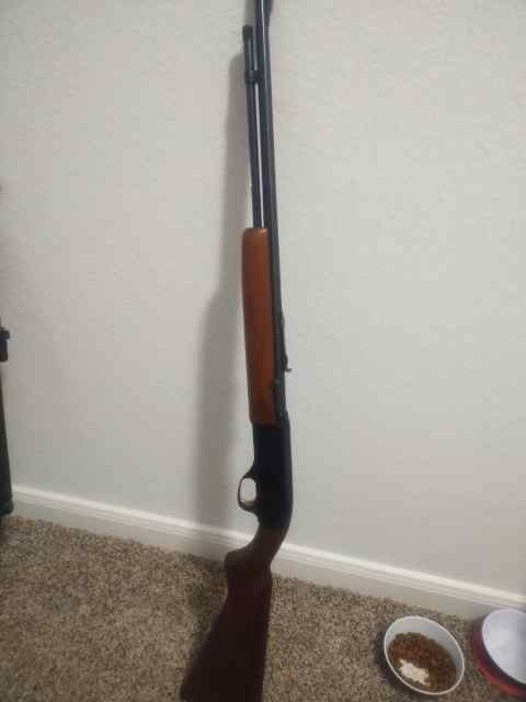 Kodiak Model 260