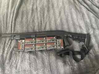 image11.jpeg