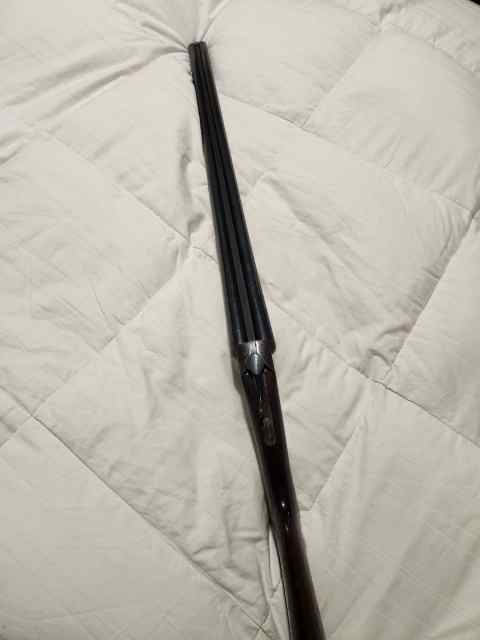 Stevens 16ga SxS model 311a