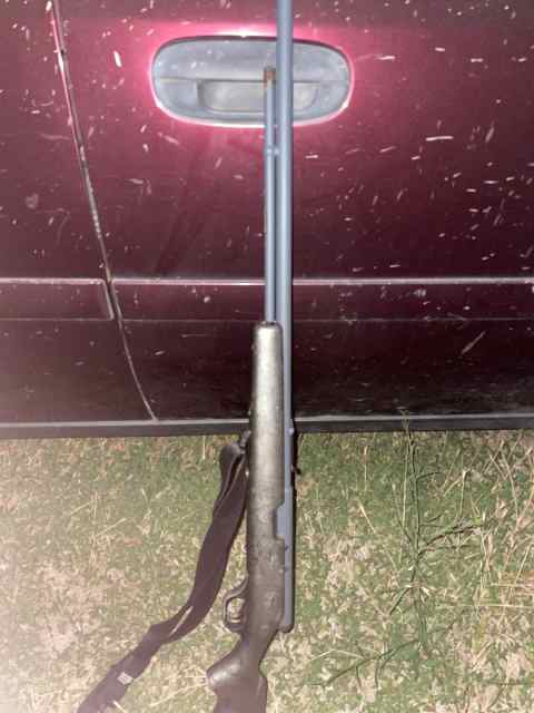 Rare Springfield 87 ,22lr semi auto bolt action 