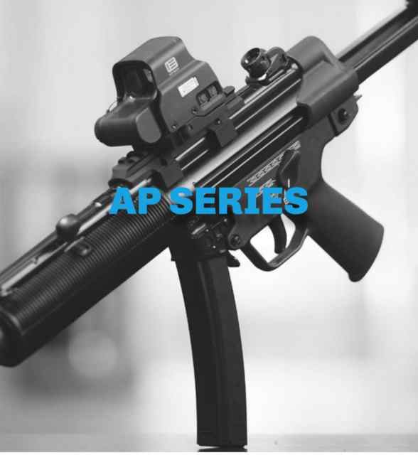 WTB/ISO AP5 with Lee Sporting lower