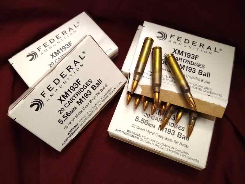Federal_5.56mm_100_rds[1].jpg