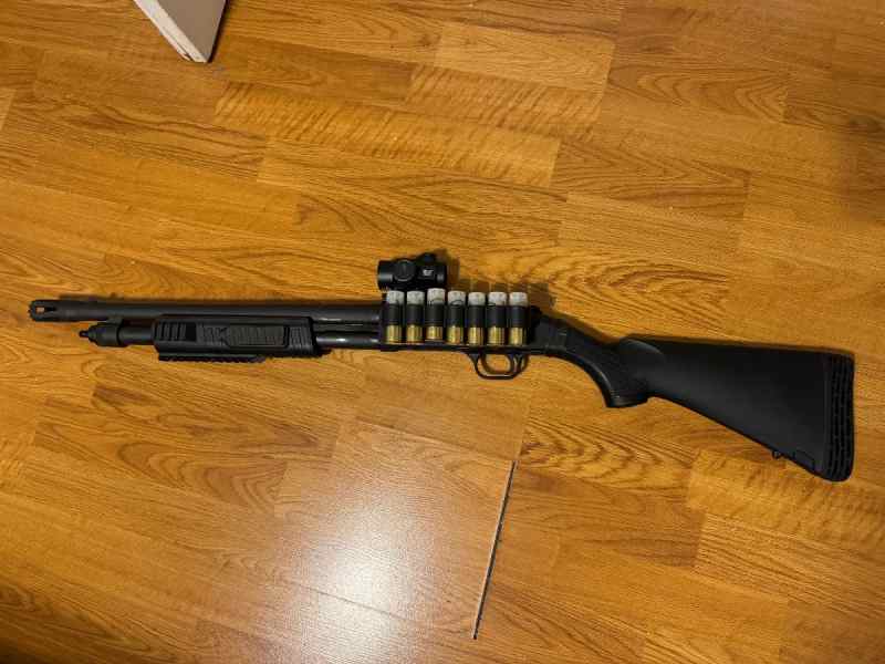 Mossberg 500 Flex w/red dot