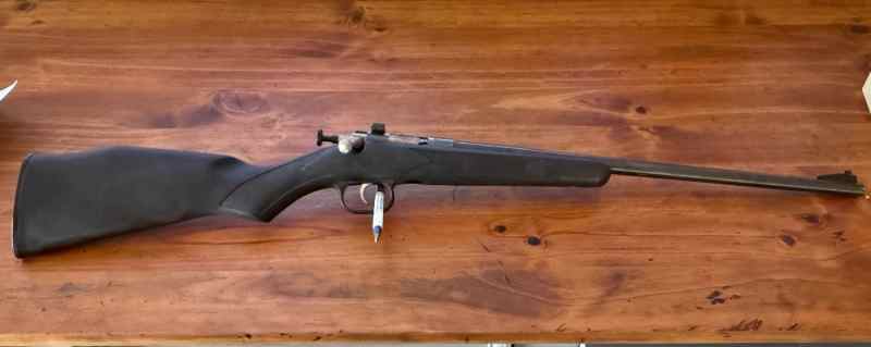 .22 cricket bolt rifle 