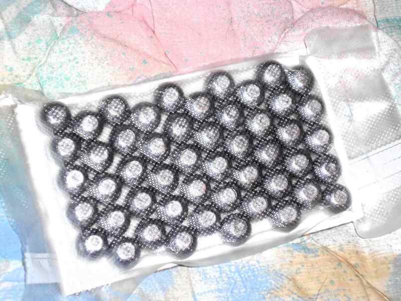 Lee 12GA slugs for reloading FS/FT
