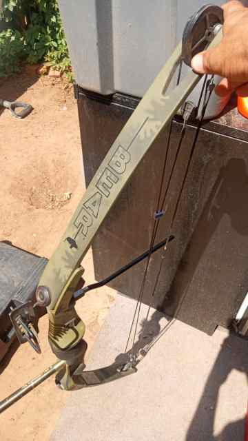 Bear whitetail 2 compound bow 
