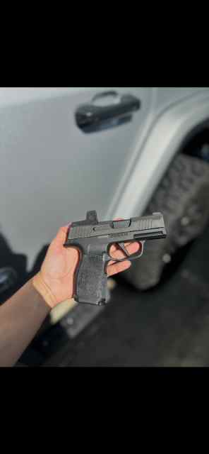 Sig p365 x 