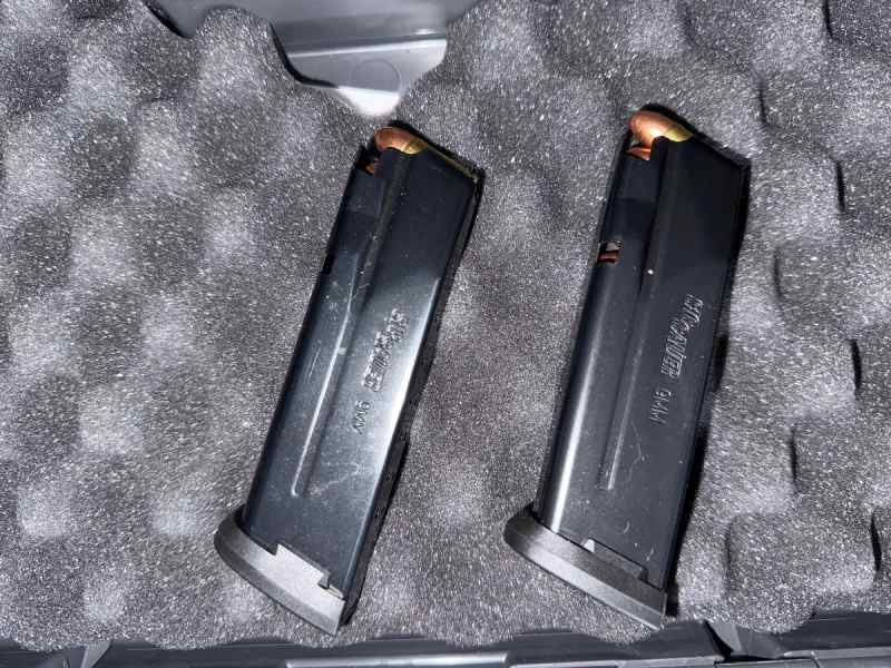 Sig Sauer p365 | 17 round magazines