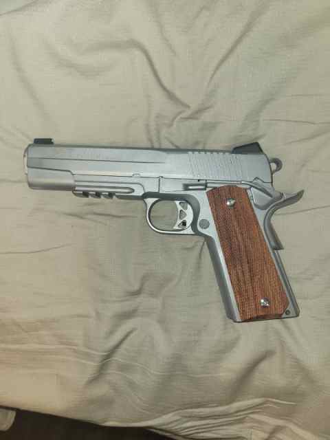 SIG ARMS GSR .45